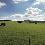 Amazing In Hainrodehainleite *