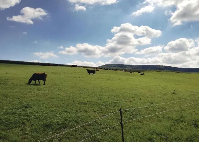 Amazing In Hainrodehainleite *