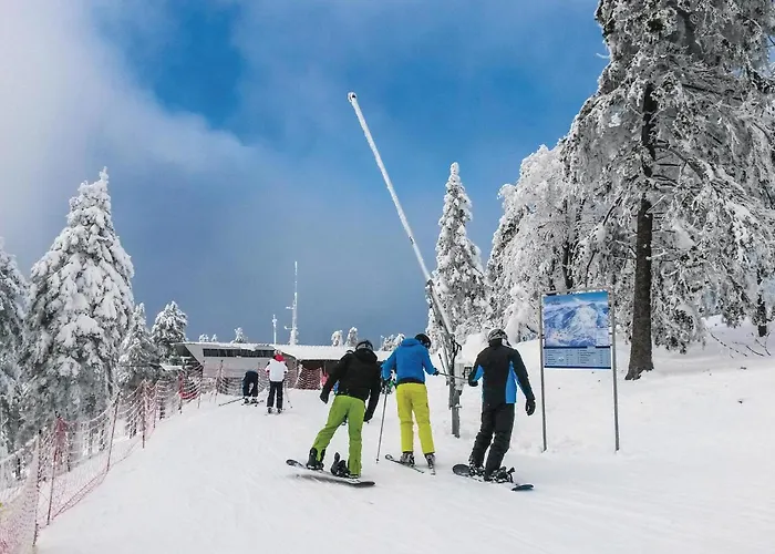 Amazing In Hainrodehainleite * Hainrode (Nordhausen)